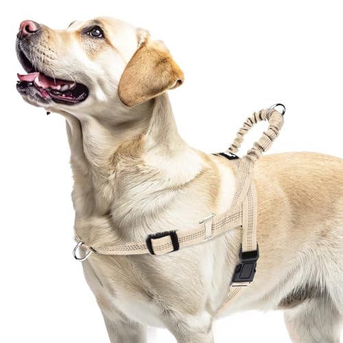 PUPTECK No Pull Dog Harness Medium Sized Dog, Adjustable Reflective Pet Vest Harness with Bungee Handle, Escape Proof No Choke Harness for Medium Dogs Walking Training, Beige L - color: Beige, size: L (NECK: 17.5"-21", CHEST: 25.5"-33")