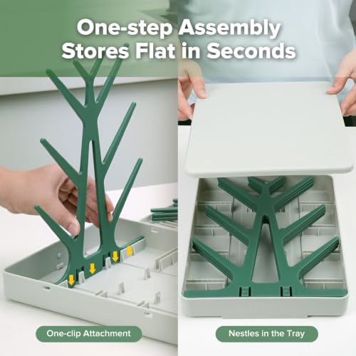 haakaa Baby Bottle Drying Rack with Tray, Space-Saving Bottle Drying Tree - color: Forest Green, size: Large