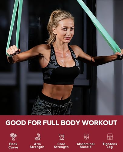 HAPBEAR Pull Up Assistance Bands - Pull Up Bands - Resistance Bands - Exercise Bands Resistance Bands Set of 5 - Workout Bands for Working Out, Stretching, Muscle Training - color: Pink-Green
