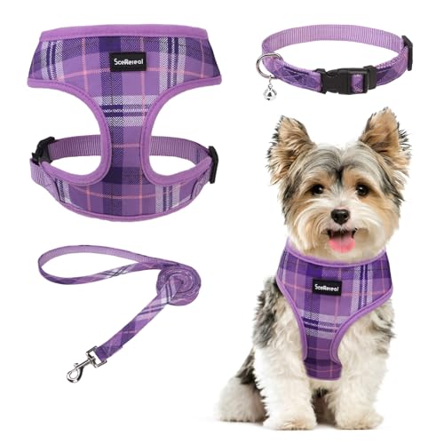 SCENEREAL No Pull Dog Harness and Leash Set Small Medium Sized Dog - color: Purple, size: XS: Chest Girth: 10"-14"