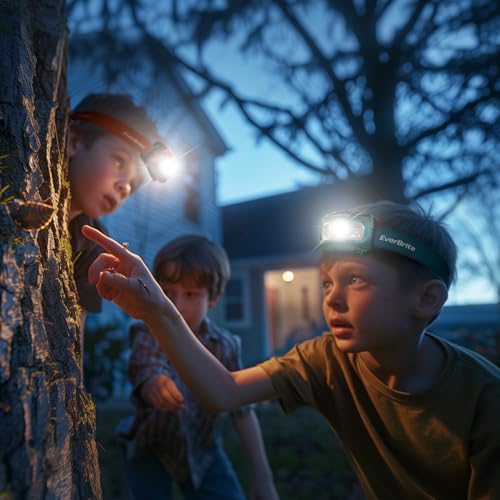 EverBrite Headlamp, 2 Pack LED Head Lamp for Kids & Adults, Red Light - color: Green
