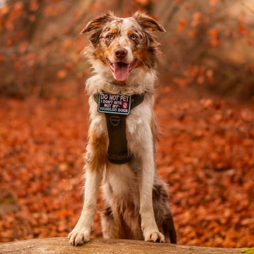 rabbitgoo Tactical Dog Harness Medium Sized, No Pull Service Pet Vest - color: Red, size: M(chest:20.1"-33.9",neck:17.7"-22.3",back:7.5")