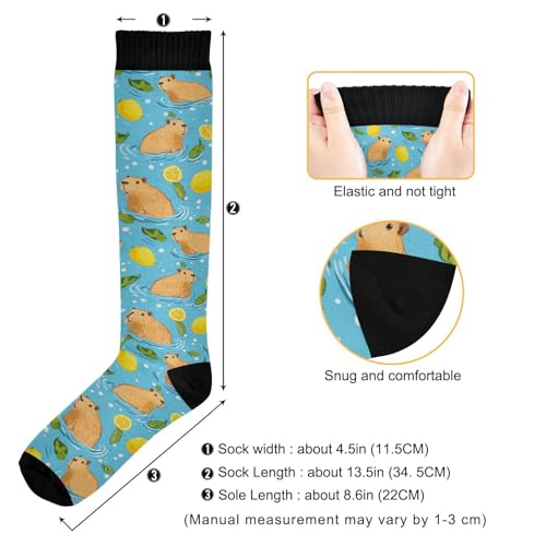 Wusikd Heartbeat Symbol Compression Socks for Women and Men Circulation Black Long Socks for Athletic Running 1 - color: Capybaras