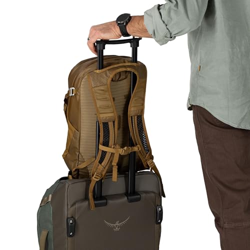Osprey Daylite Plus Commuter Backpack – Lightweight, Everyday Pack with Laptop Sleeve and Water Bottle Pockets – Ideal for Work, School, and Travel with Versatile Storage Options, Wander Yellow - color: Wander Yellow