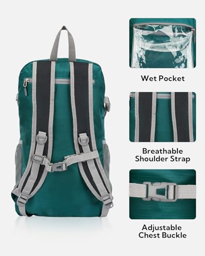 WATERFLY Lightweight Packable Hiking Backpack, 30L Day Pack Green - color: Green