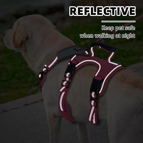 PUPTECK Escape Proof Dog Harness and Leash Set Upgraded No Pull Reflective Dog Vest with Lift Handle, Easy Control Pet Harness for Medium Large Dogs Training Walking Running, Fuchsia, L - color: Fuchsia/Grey, size: Large