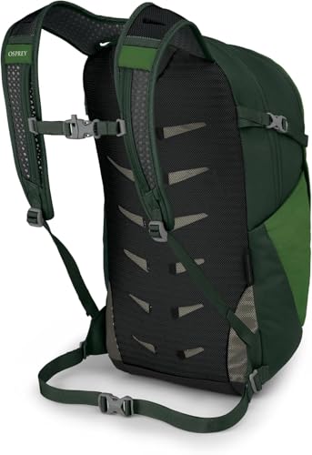 Osprey Daylite Plus Commuter Backpack, Green OS - color: Green Belt/Green Canopy
