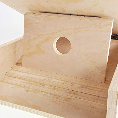 PowerTRC Wooden Slant Board | Adjustable Incline Board for Stretching and Exercising | Prevent Muscle Injuries | Portable and Easy to Use Design