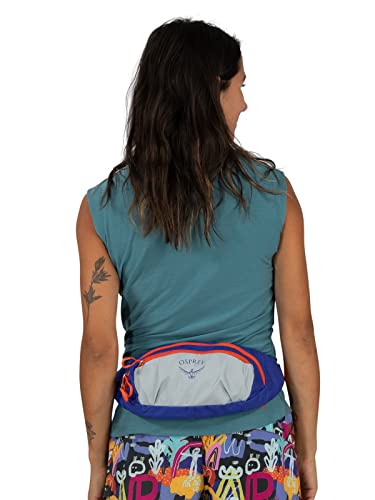 Osprey Daylite Waist Pack - Fanny Pack with Crossbody Shoulder Carry Option - Lightweight Hip Bag - color: Jetstream Blue