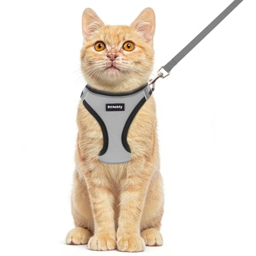 Rttochfy Cat Harness and Leash Set, Escape Proof Kitten Harness, Soft and Breathable Vest with Reflective Strip, Easy to Wear for Cats Walking and Traveling (BK Grey, XXS) - color: BK Grey, size: XXS (Chest:11"-12")