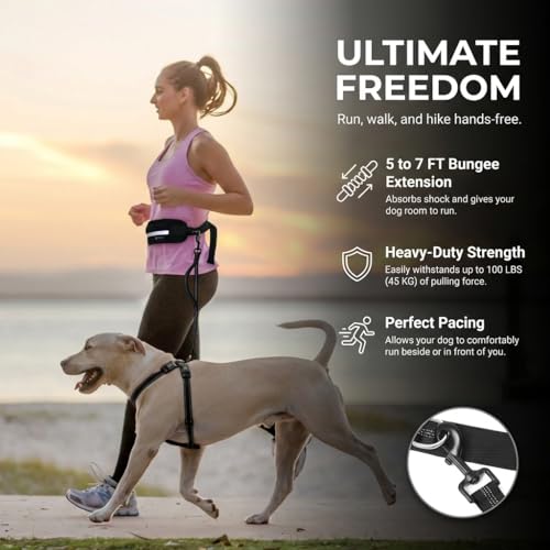 Hands Free Dog Leash with Waist Pouch, Reflective Bungee, Dogs Up to 100 lb - color: Gray
