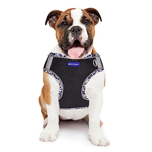 Step in Mesh Dog Harness and Leash Set Breathable Air Mesh Harness - color: Black, size: S(neck:10.5"-12",chest:13.5"-16")