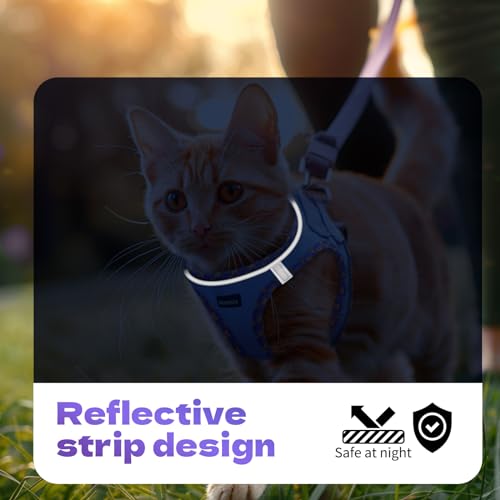 Rttochfy Cat Harness and Leash Set, Escape Proof Kitten Harness, Soft and Breathable Vest with Reflective Strip, Easy to Wear for Cats Walking and Traveling (Blue, XS) - color: Blue, size: XS (Chest:12.5"-14")