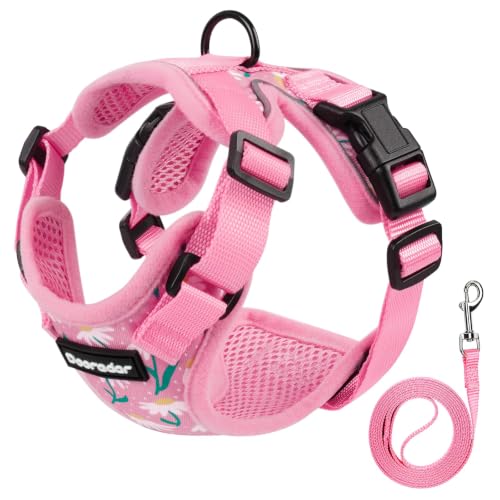 Dooradar Cat Harness and Leash Set, Adjustable and Escape Proof, S - color: Pink Coneflower, size: S
