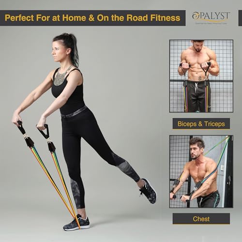 Resistance Bands with Handles, 11-Piece Exercise Band Set for Home Gym, 5 Stackable Tubes with Door Anchor, Ankle Straps and Carry Bag