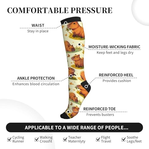 Compression Socks Circulation 15-20 Mmhg Knee High - color: Capybaras