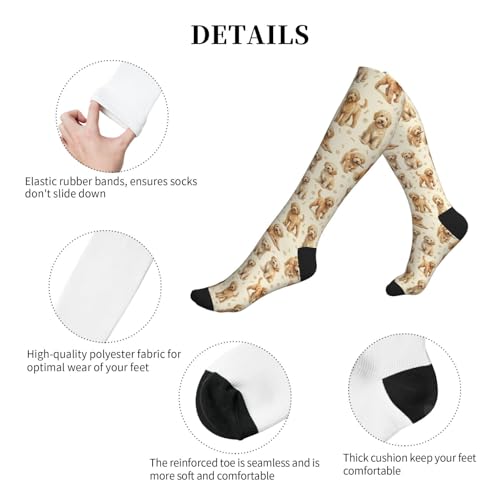 Cute Dog Compression Socks Women Men, Dog Lover Gift - color: Goldendoodle