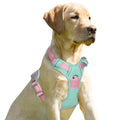 BARKBAY Dog Harness No Pull for Small Sized Dog Front Back Clips,Dog Vest - color: Cool Mint & Baby Pink, size: X-Small(Chest:15.5-19.5”)