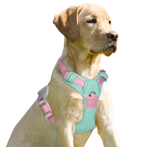 BARKBAY Dog Harness No Pull for Small Sized Dog Front Back Clips,Dog Vest - color: Cool Mint & Baby Pink, size: X-Small(Chest:15.5-19.5”)