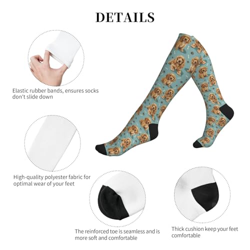 Cute Dog Compression Socks Women Men, Dog Lover Gift - color: Cocker Spaniel