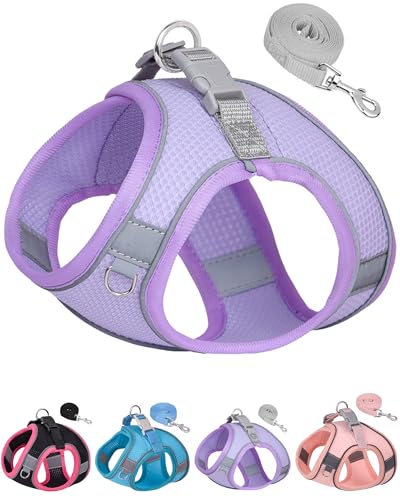 Dog Harness & Leash Set - Purple, S for Small & Medium Dogs - color: Purple, size: Small