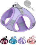 Dog Harness & Leash Set - Purple, S for Small & Medium Dogs - color: Purple, size: Small