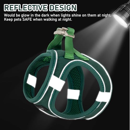 GAMUDA Small Pet Harness Collar and Leash Set, Step in No Chock No Pull Linen Fabric Soft Mesh Dog Vest Harnesses Reflective for Dogs Puppy Cats Kitten Rabbit (Green, XXS) - color: Green, size: XXS