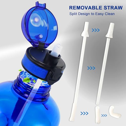 GEMFUL 3L Water Bottle with Straw & Handle BPA-Free Gym Jug (Royal Blue) - color: Royal Blue, size: 3 L