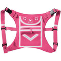 Runtasty Running Mini Backpack Vest for Men & Women, Reflective Phone Holder, Fits Any Phone & iPad Mini, Lightweight Gear - color: Hot Pink