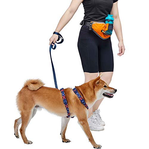 Blueberry Style Orange Bumbag Waist Bag Fanny Pack for Walking Running - Built-in Poop Bag Holder, Dog Treat Pouch, Adjustable Waistband, and Bottle Holder - color: 1 Pack Waist Bag - Orange