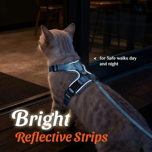 Dooradar Cat Harness and Leash Set, Adjustable and Escape Proof, XXS - color: Aqua Sea, size: Xxs
