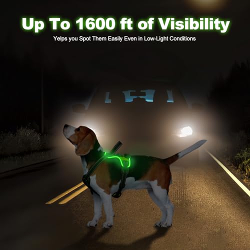 MASBRILL Rechargeable Light Up Dog Harness - Illuminated & Reflective, No Pull, Glow Vest for Small, Medium & Large Dogs - color: Green, size: XL