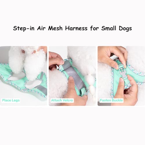 Petank Step in Dog Harness No Pull and Leash for Small Medium Dogs Cats. - color: Green, size: XXXS