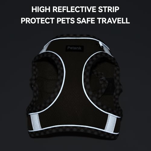 Petank Step in Dog Harness No Pull and Leash for Small Medium Dogs Cats. - color: Brown, size: XXS