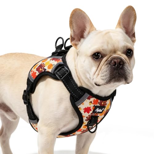 PUPTECK Fall Thanksgiving Dog Harness Small Sized Dog, Step in Adjustable Reflective Dog Vest Harness Escape Proof, No Pull Soft Padded Harness Easy Control, Yellow, M - color: Yellow(Turkey), size: M (CHEST: 14.5"-20")