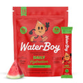WaterBoy Daily Hydration, Sugar Free Electrolytes (Watermelon (15ct))