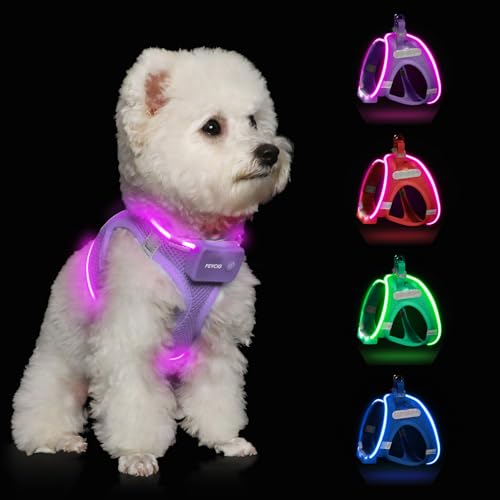 Light Up Dog Harness, Rechargeable LED Dog Harness for Small Medium Dogs - color: Lavender Purple, size: L