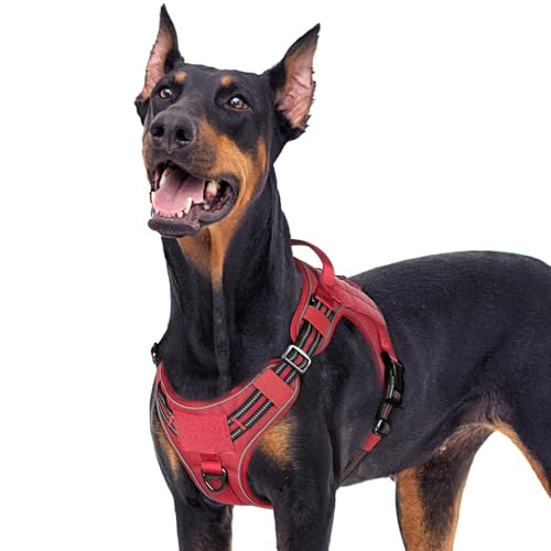 rabbitgoo Tactical Dog Harness for Large Dogs, No Pull Service Pet Vest - color: Red, size: Xl(chest:23.6"-41.8",neck:21.7"-32.3",back:9.1")
