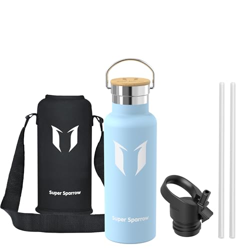 Sparrow Metal Water Bottle with Straw - Insulated Water Bottles Kids 500ml - color: Frost, size: 16.9 Ounces