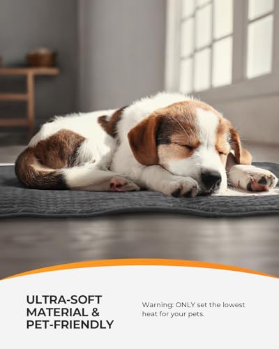 Heating Pad & Knee Massager