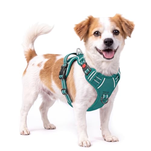 HEELE Dog Harness, Soft Padded, Front Clip Vest with Control Handle Grass S - color: Lock Grass Green, size: S (Pack of 1)