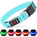 Illumifun Light Up Dog Collar, USB Rechargeable LED Dog Collar, Adjustable Reflective Lighted Pet Collar for Night Walking Camping (BlueⅢ, Large) - color: BlueⅢ, size: Large