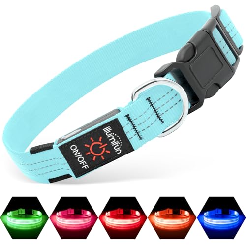 Illumifun LED Dog Collar - USB Rechargeable Dog Light Up Collar, Reflective Pet Collar Light Glow in the Dark (BlueⅢ, Medium) - color: BlueⅢ, size: Medium