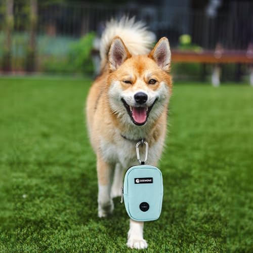 Dog Treat Pouch Dog Poop Bag Holder For Leashes, Pets Snack Container With Inner Mesh Bag, Puppy Supplies Perfect For Training And Walking - Hands Free Dog Waste Bag Dispenser -Dog Travel Accessories - color: MintGreen