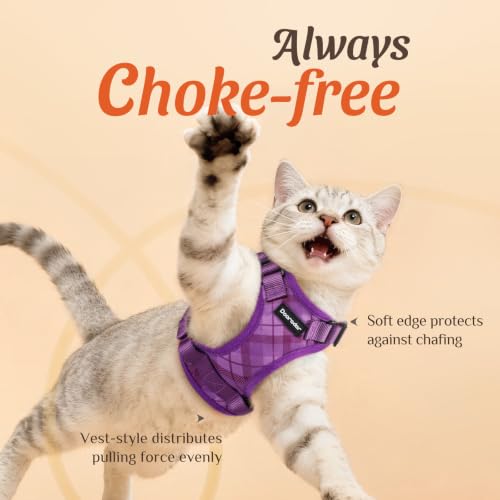 Dooradar Cat Harness and Leash Set, Adjustable and Escape Proof, XXS - color: Argyle Purple, size: Xxs
