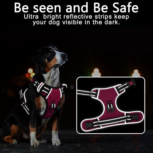 HEELE Dog Harness, Neck Release, No Pull Front Clip Vest, Fuchsia, S - color: Lock Fuchsia, size: S (Pack of 1)
