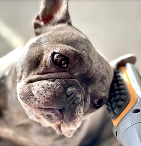 PAW WAVE Buzz Therapeutic Brush Vibration Pet Massager for Dogs and Cats Designed to Help Soothe Tension, Increase Circulation and Relieve Tight Muscles