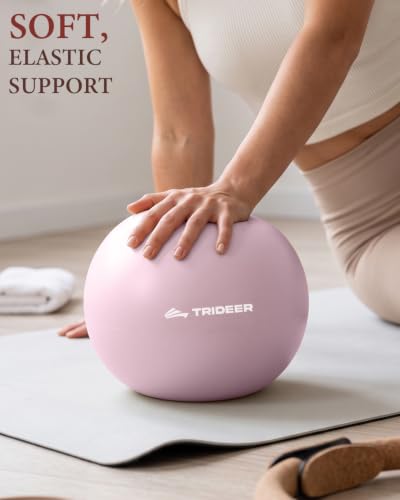 Trideer 9 Inch Pilates Ball with Inflation Straw, Small Exercise Yoga Ball - color: Mauve Mist