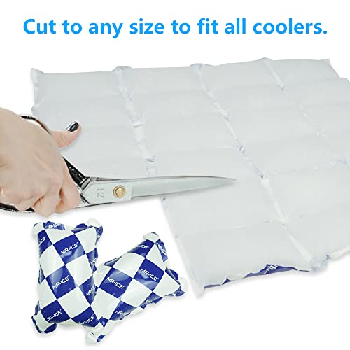Reusable Dry Ice Packs for Shipping & Storage - Long Lasting Cold Packs for Lunch Box & Coolers - Ideal for Frozen Food & Drinks - style: 13"x14" 12 pcs(24 cells)