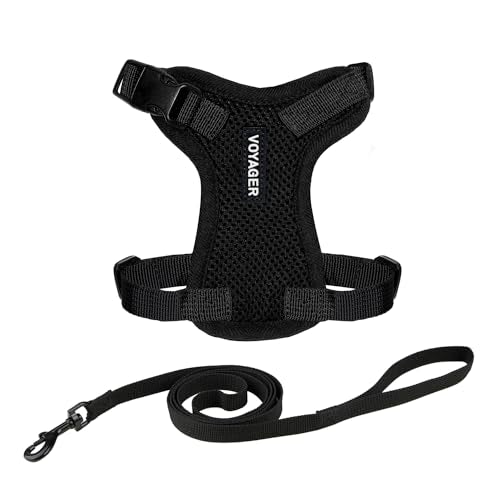 Voyager Escape-Proof Step-in Harness & Leash - Black, XXS - color: Black, size: XXS (Chest: 11.5 - 14")